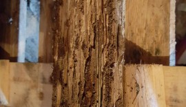 ATTENTION des Termites en Vaucluse !