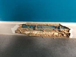 Des termites à Châteaurenard !